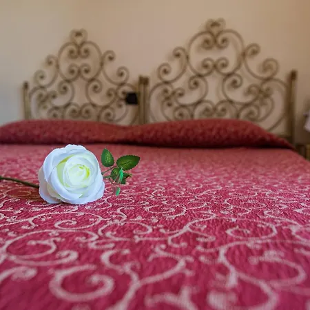 Adria & Hotell 3*